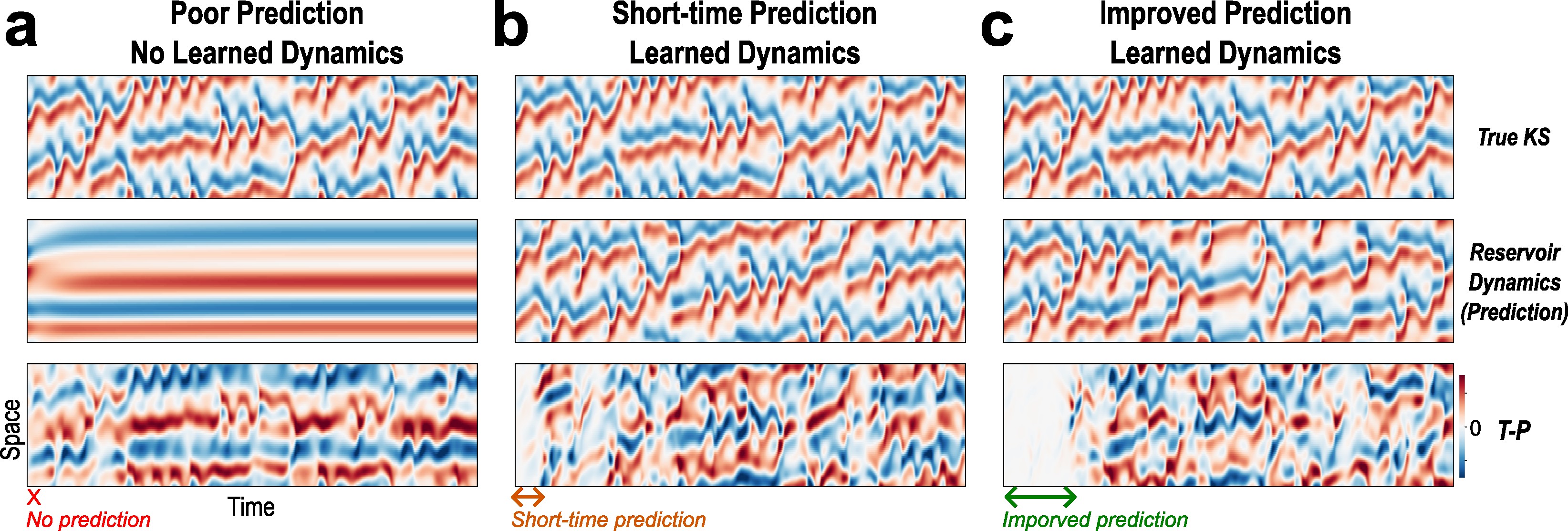 Evolutionary Optimization Reveals Structural Constraints on Reservoir Architecture for Spatiotemporal Chaos