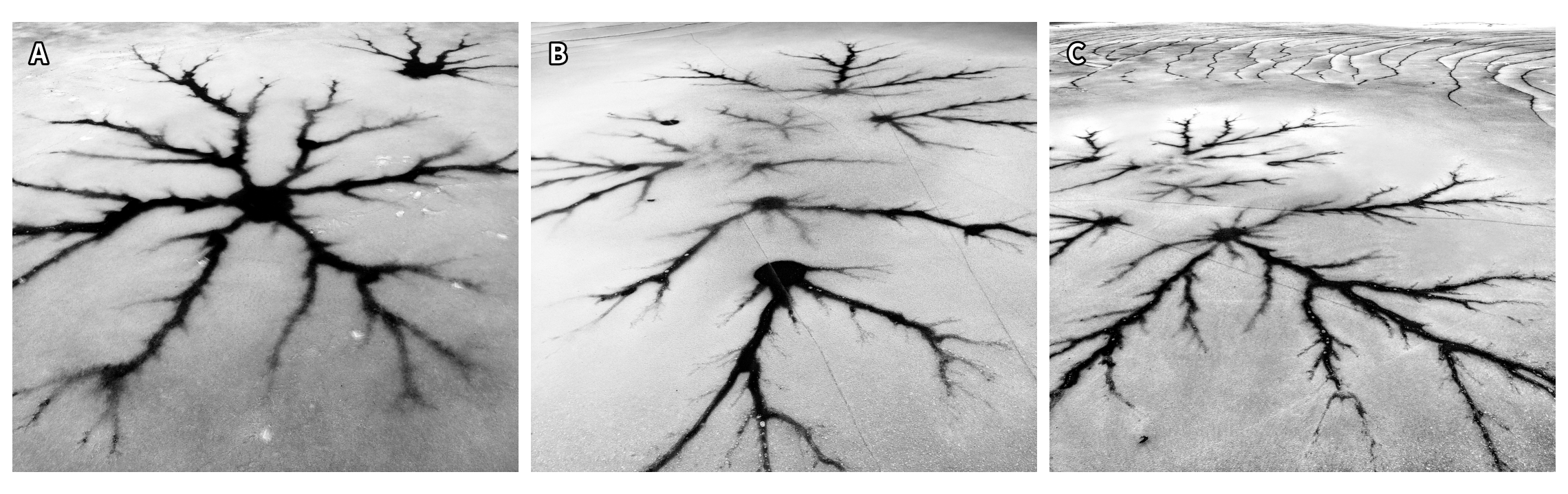Field closure, ice neurons, and when a dendrite is a motif