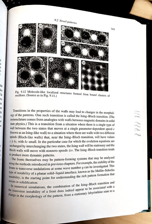 Book pages on pattern formation far from threshold — 2